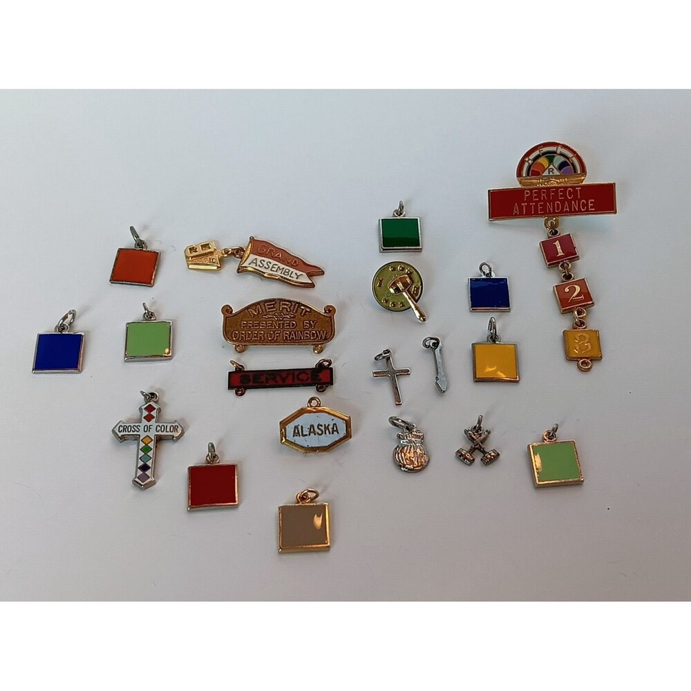 Vintage Order of Rainbow Pin & Charms Lot of 23